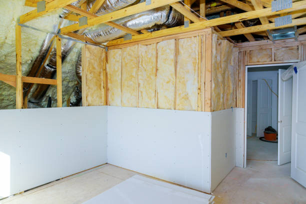 Best Commercial Insulation in Arcadia, SC