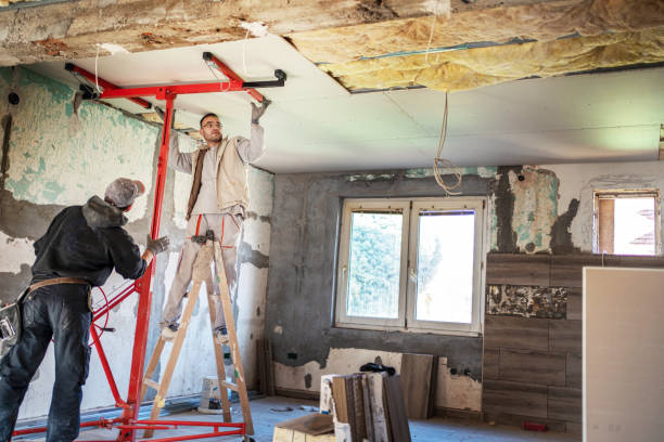 Best Residential Insulation in Arcadia, SC