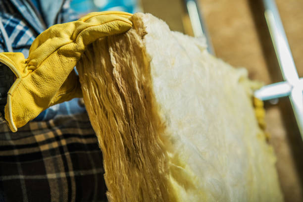 Best Types of Insulation in Arcadia, SC